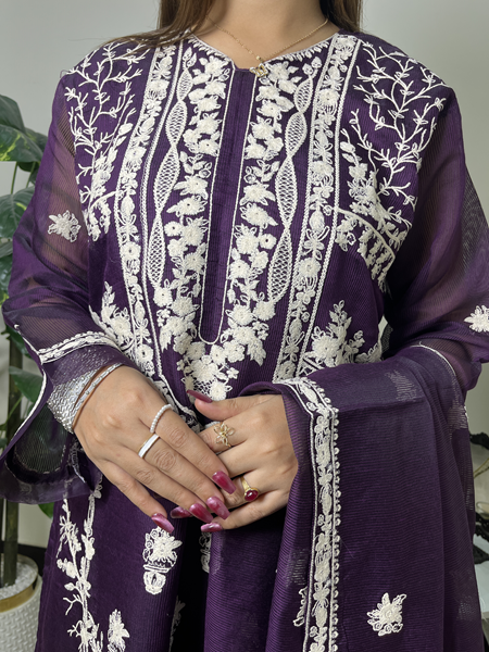 A1- Musk embroiderd khadi net dress - Image 4